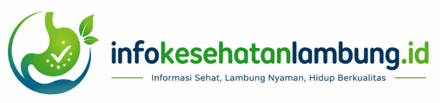 infokesehatanlambung.id